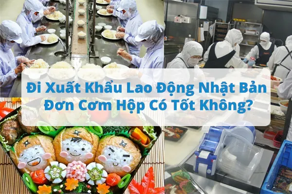 Đơn hàng cơm hộp tại Nhật Bản: lý do, điều kiện và mức lương