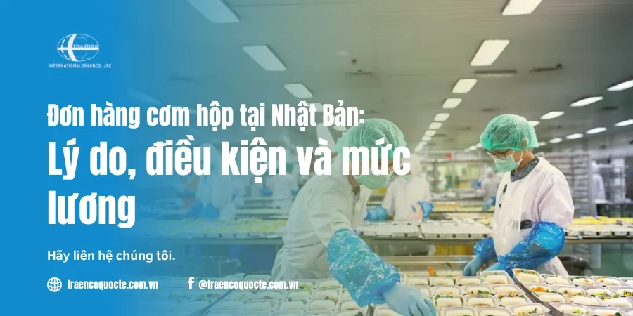 Đơn hàng cơm hộp tại Nhật Bản: lý do, điều kiện và mức lương