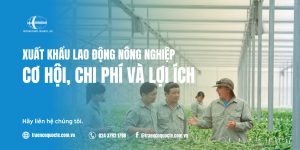 Xuất Khẩu Lao Động Nông Nåçghiệp: Cơ Hội, Chi Phí và Lợi Ích