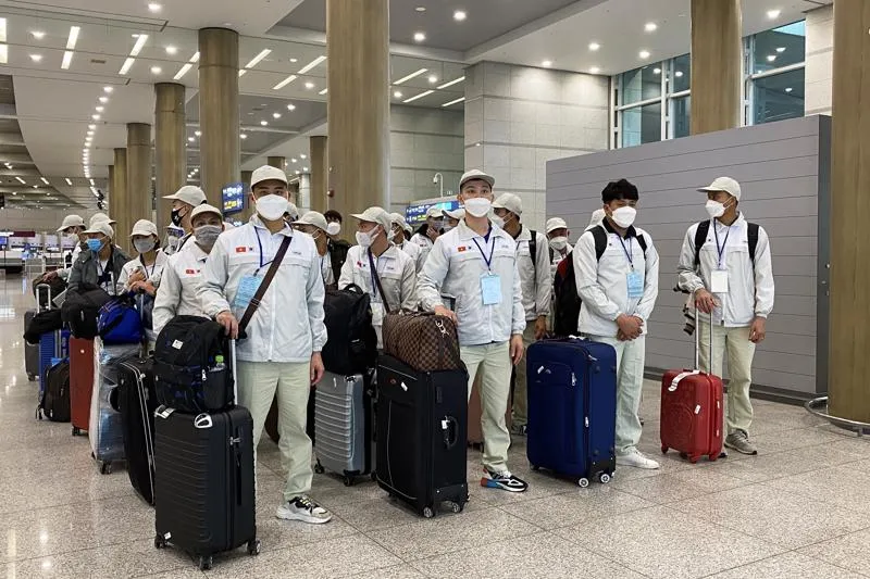 Xuất khẩu lao động và thực tập sinh Nhật Bản khác nhau như thế nào?